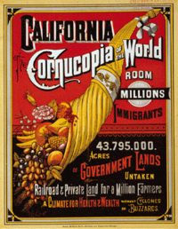 corn